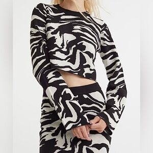 H&M Black and White Zebra Print Cropped Sweater